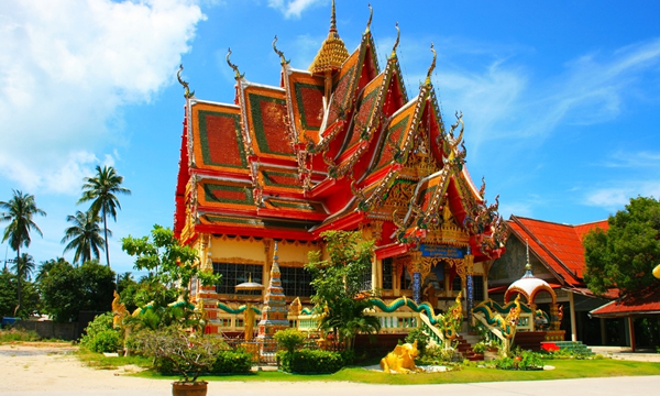 ̩����ѧרҵ