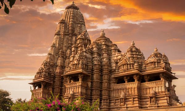 ��������ѧ̩����