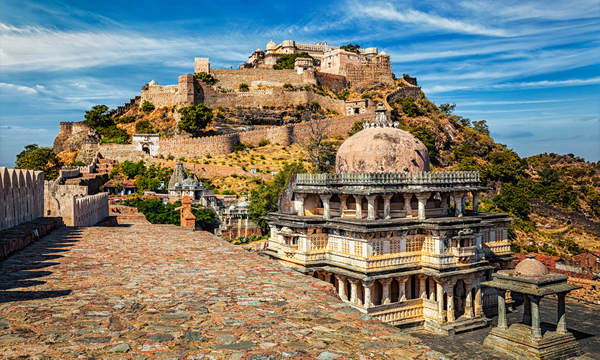 ̩����ѧ����