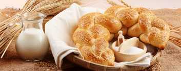 һ���º決��ҵ��