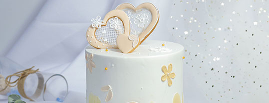 ����������רҵ