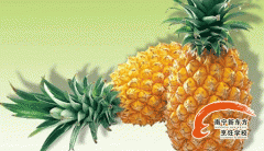 ��������ˮ�����ܶ��