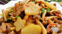 �ҳ�С��-ɽҩС��������