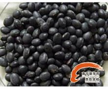 ������ʳ����ʳ�ڶ��ٲ�����