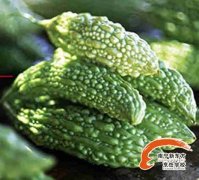 ������ʳ���嵭��ԡ��ࡱ