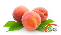 ���ǣ�5���˲��ܳ�����