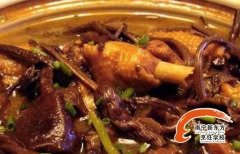 ��Ҷ������-������������Ҷ��ʳ