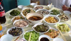 ��ʳӦ�嵭��������