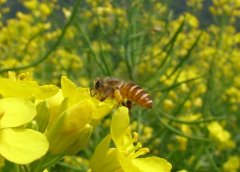 �����ʲô�ˣ��������¶������߲�