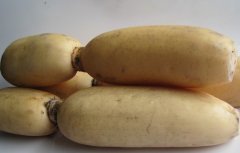 �����ʲô��������ź����������