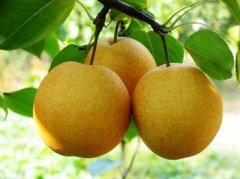 ��ַ�������ʵ���һЩ�������