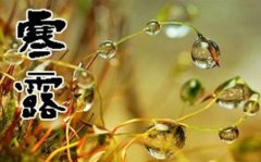 ��¶ʱ�ڵ�������Ҫ����������ʳ