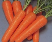 �ﶬ����ʳ���ܲ��ĺü���