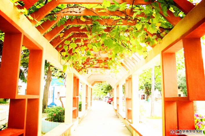 广西华南烹饪学校