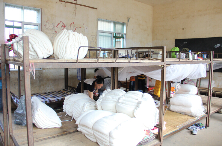 �����������ѧУ