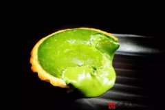 ����֥ʿ��