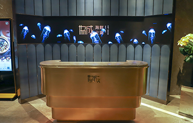 ��ѧ����