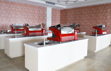 ��ѧ����