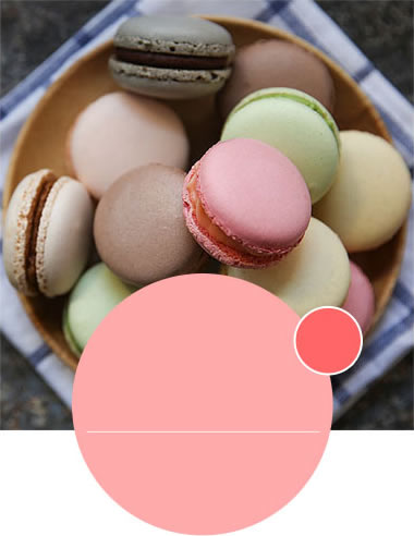 �������ѧУ