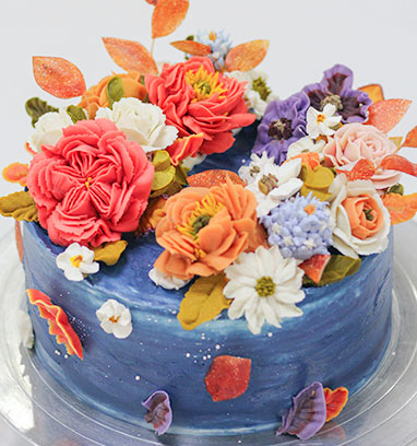 ��ʽ�ѻ���ѵ