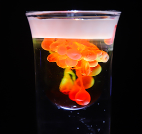 ������ѵѧУ